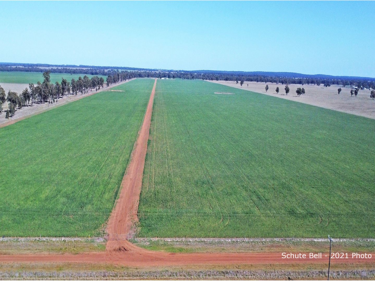 325 Tralee Lane, Peak Hill NSW 2869 House for Sale Domain