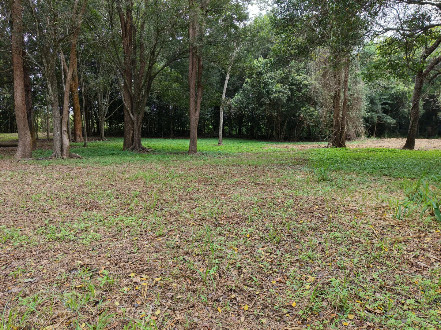 Image 19