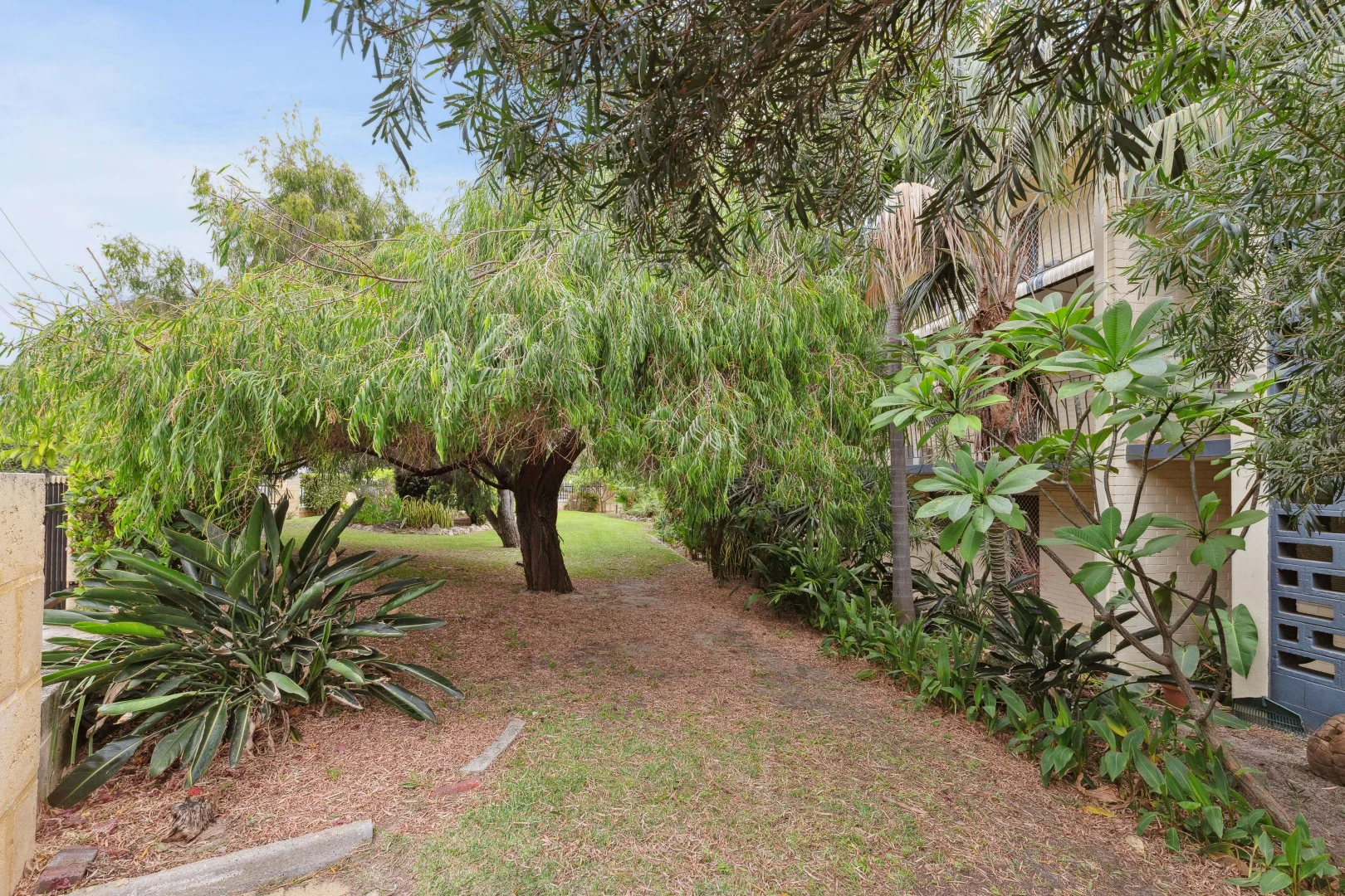 Image 15