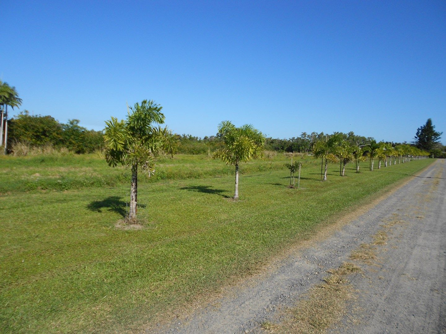 Lot 69 Louis Rd, SOUTH INNISFAIL QLD 4860, Image 0
