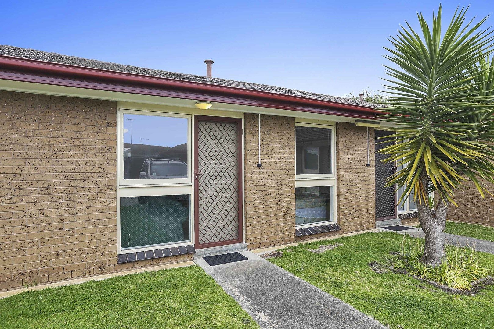 4/224 Wilsons Road, Whittington VIC 3219, Image 0