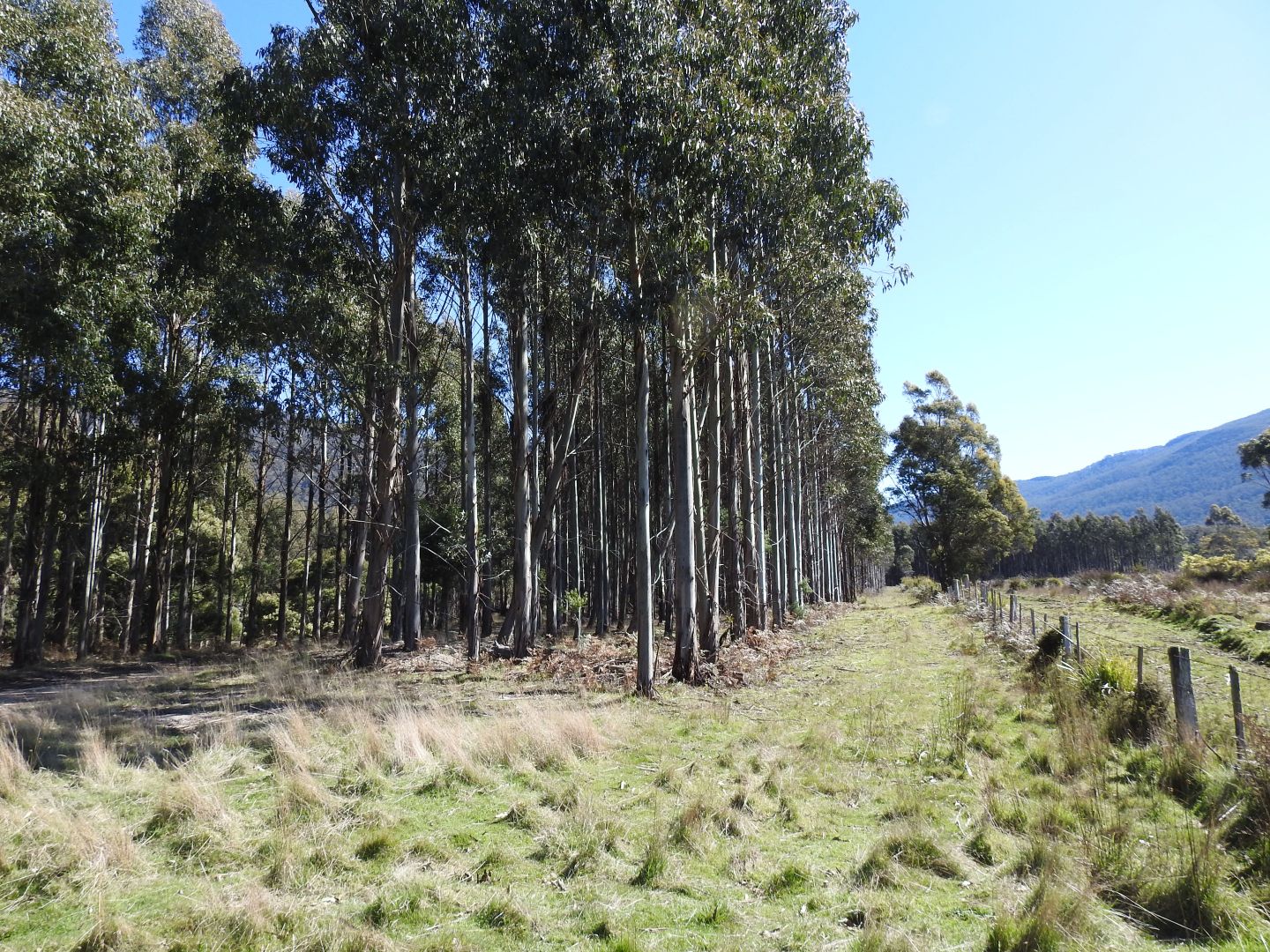 Tubbs Road, Blackwood Creek TAS 7301, Image 2