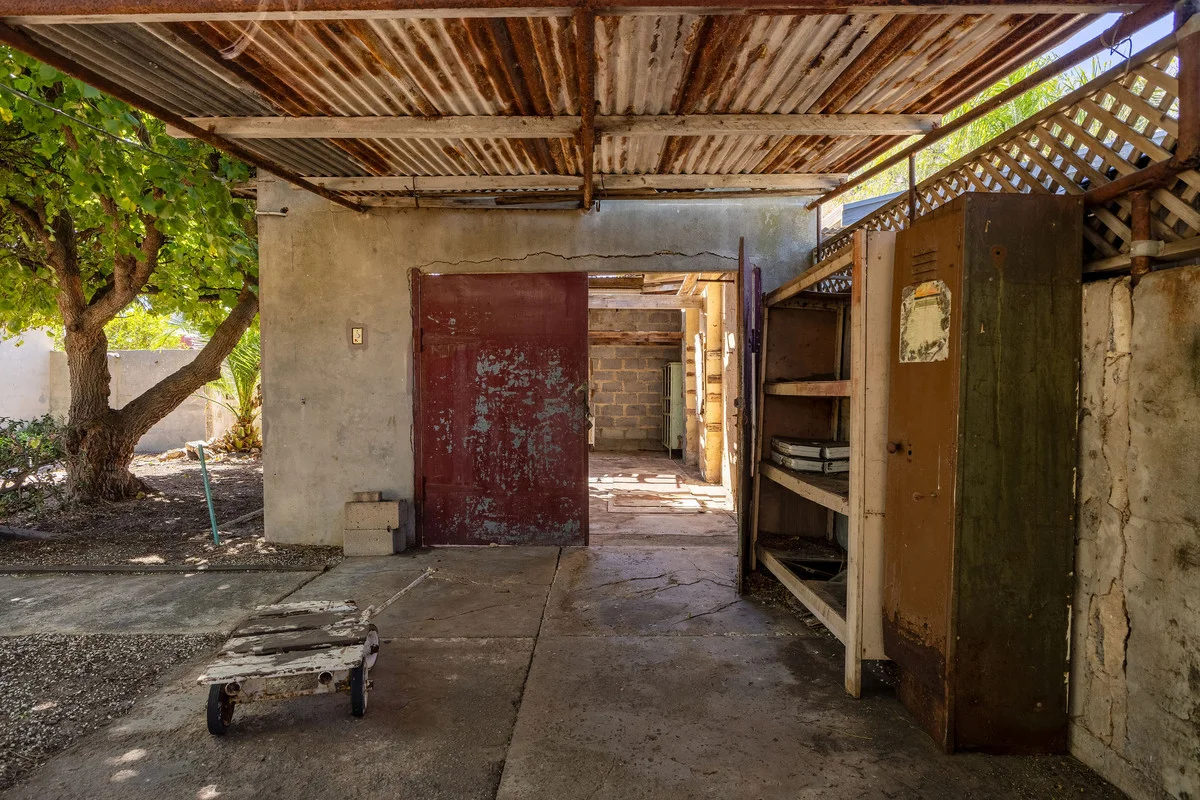 Image 19