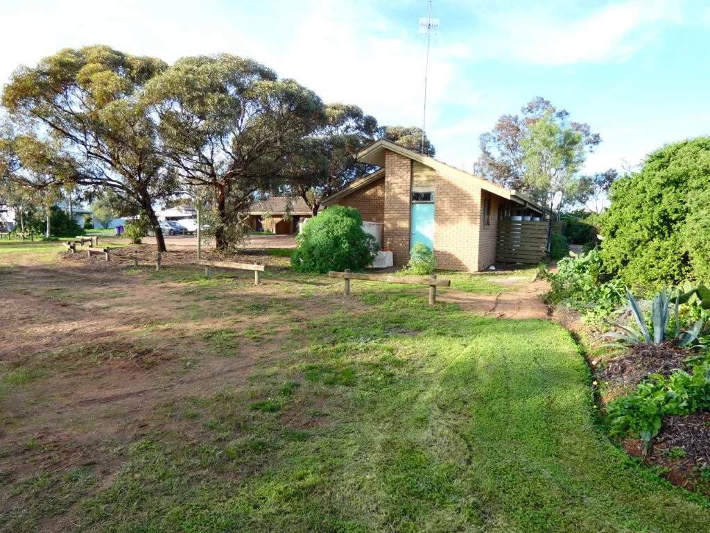 Image 12