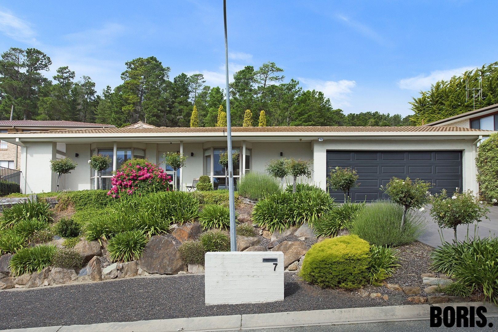 3 bedrooms House in 7 Maclagan Street ISAACS ACT, 2607