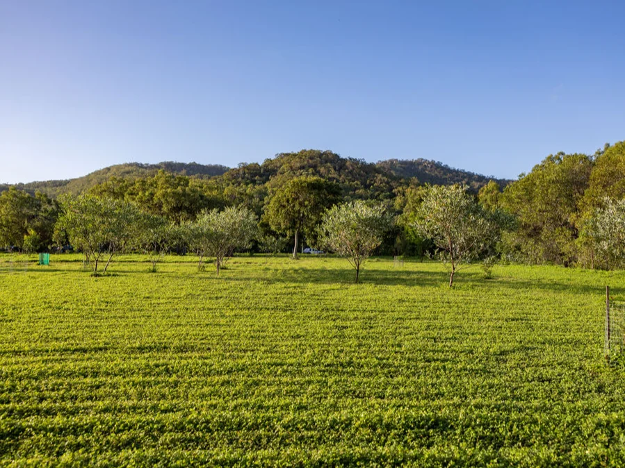 Image 10