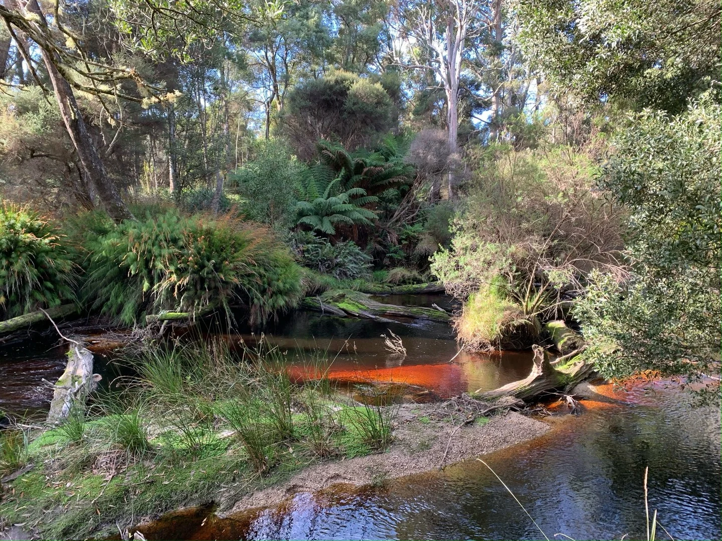 306 Coopers Road, Rocky Cape TAS 7321