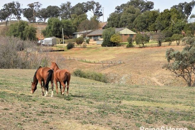 Picture of 1598 GEEGULLALONG ROAD, MURRINGO NSW 2586