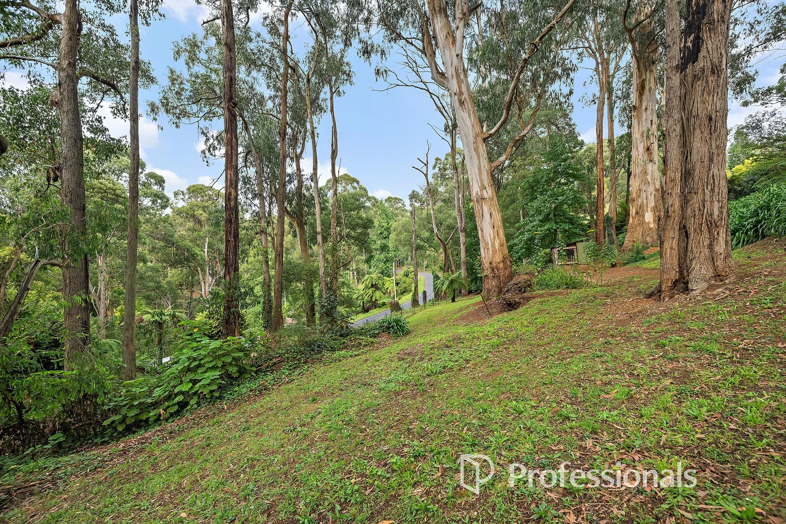 Additional image 19 of 1152 Mount Dandenong Tourist Road, Kalorama VIC 3766