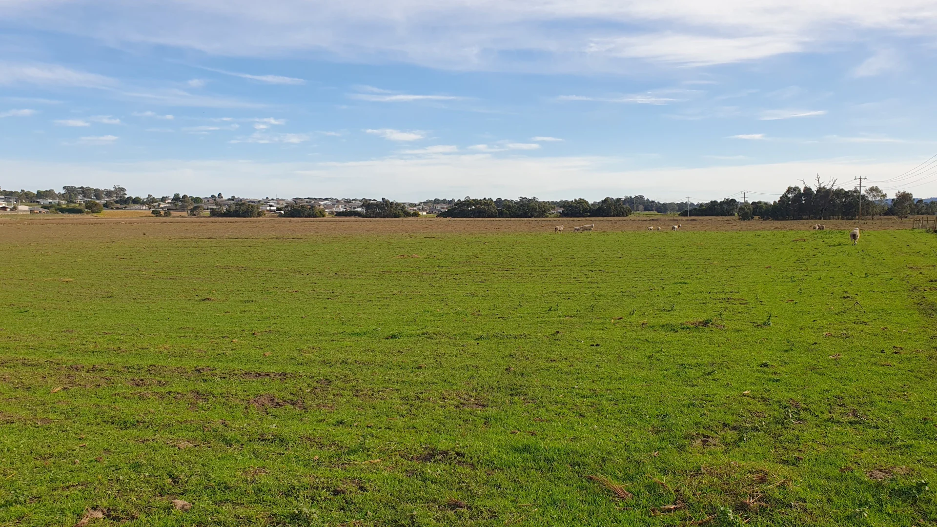 Image 14