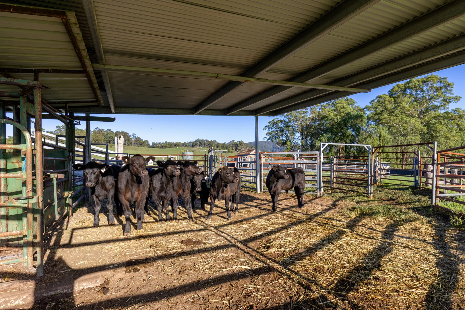 Additional image 12 of 2898 The Bucketts Way, Stroud NSW 2425