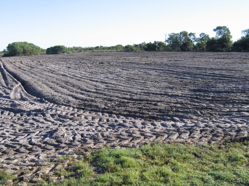 2536 Goodwood Road, Goodwood Property History & Address Research Domain