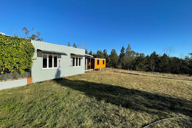 Picture of Lot 117 Mount Gammie Road, THANES CREEK QLD 4370