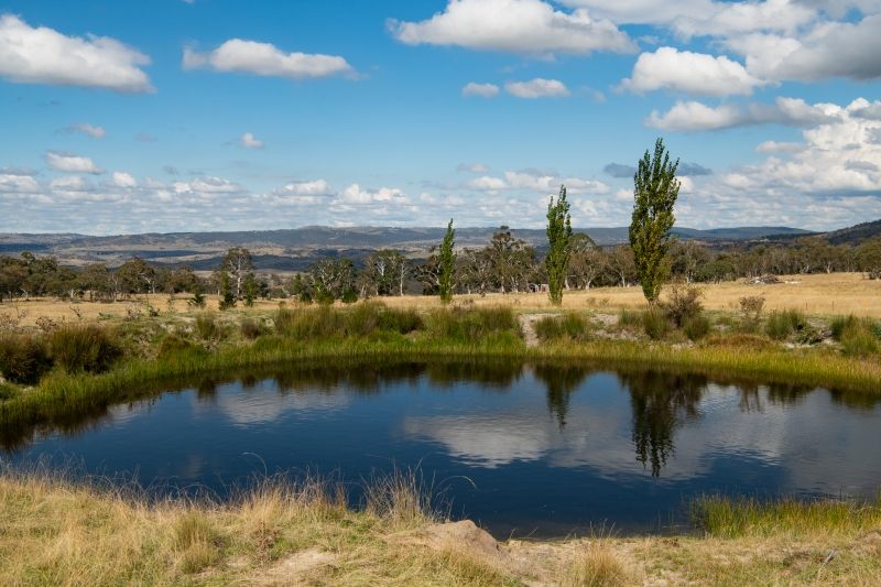 "Emu Grounds" 410 Westons Road, Moonbah NSW 2627, Image 1