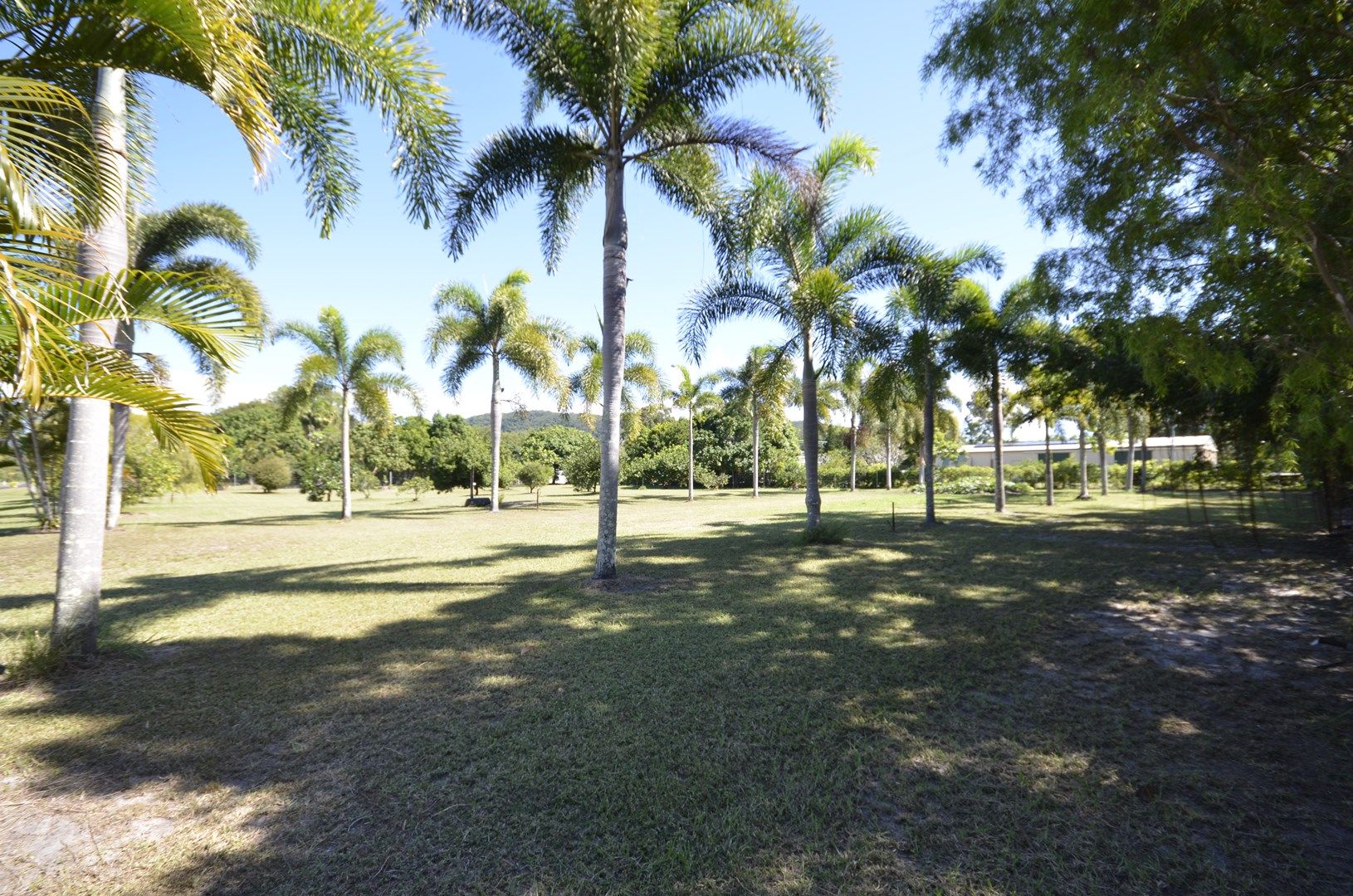 118-120 South Arm Drive, Wonga Beach QLD 4873, Image 0