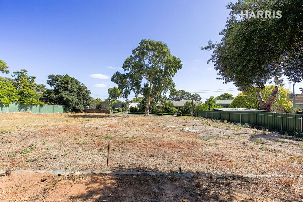 Lot 121 Glenburnie Avenue, Torrens Park SA 5062, Image 2