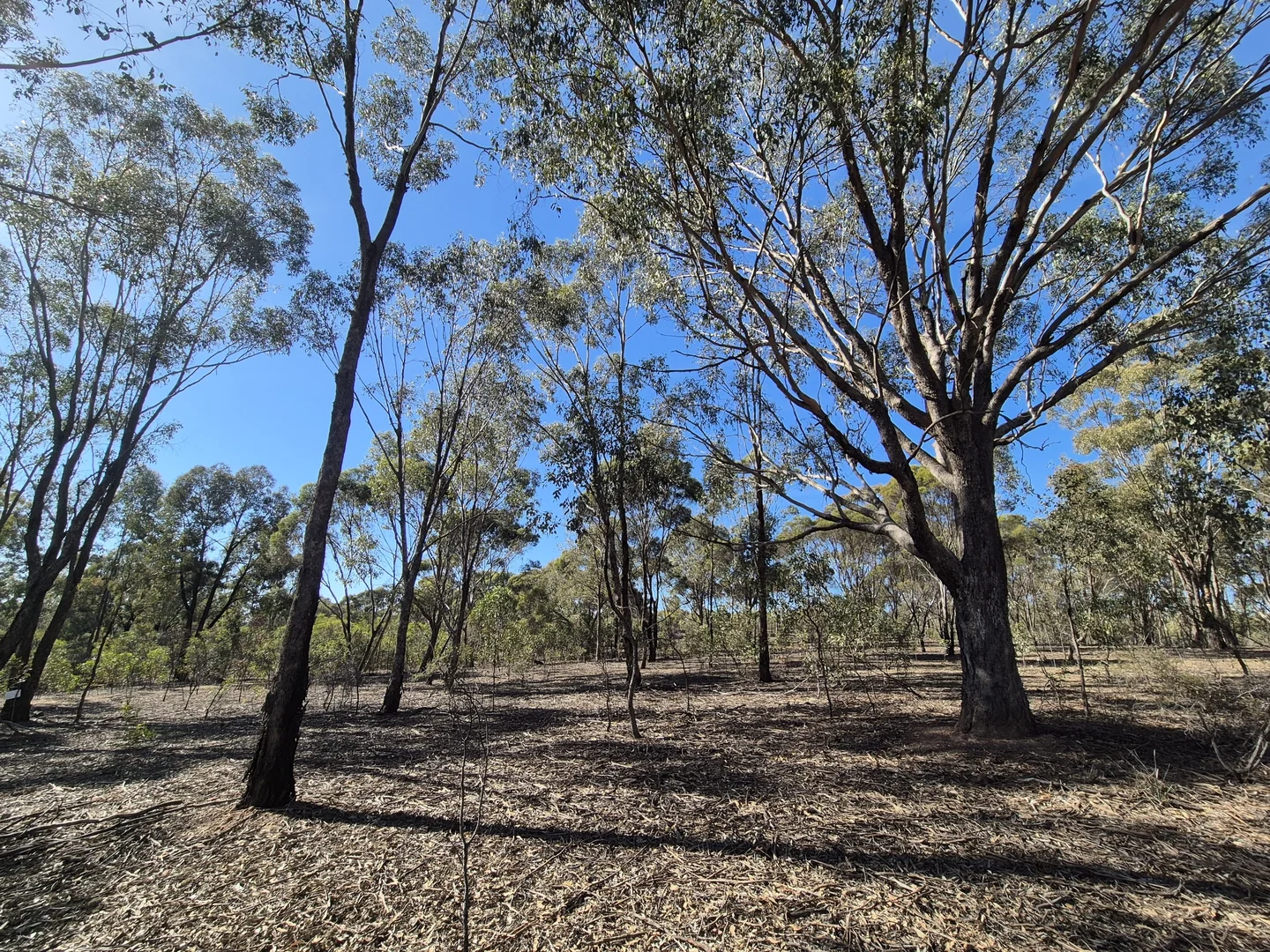 Image 30