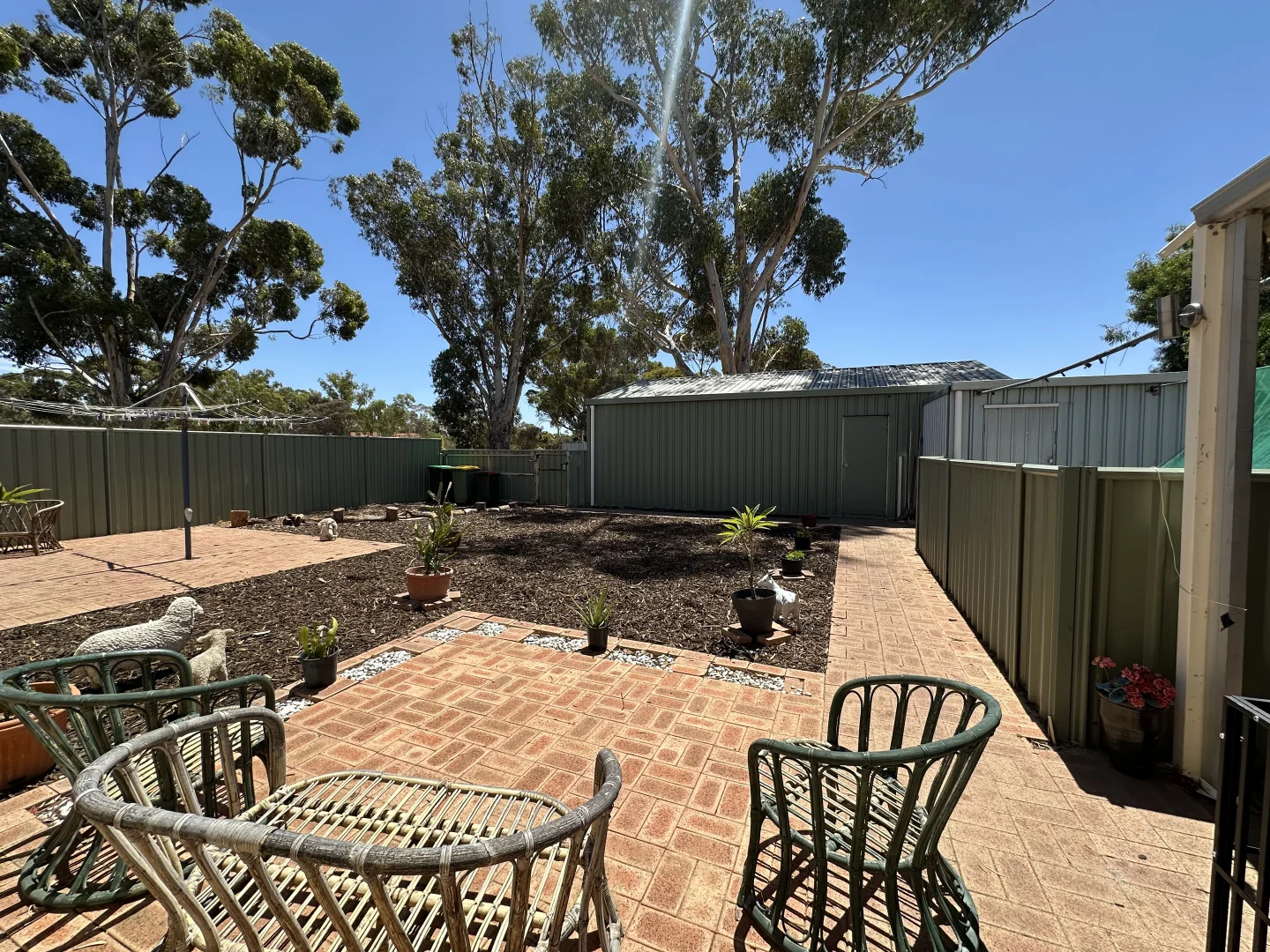 Image 22