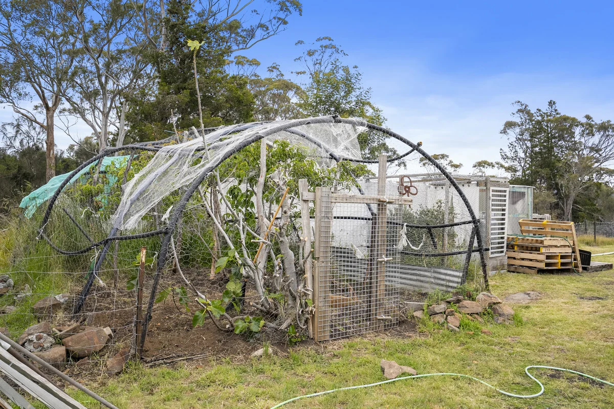 Additional image 6 of 4/194 Bresnehans Road, Little Swanport TAS 7190