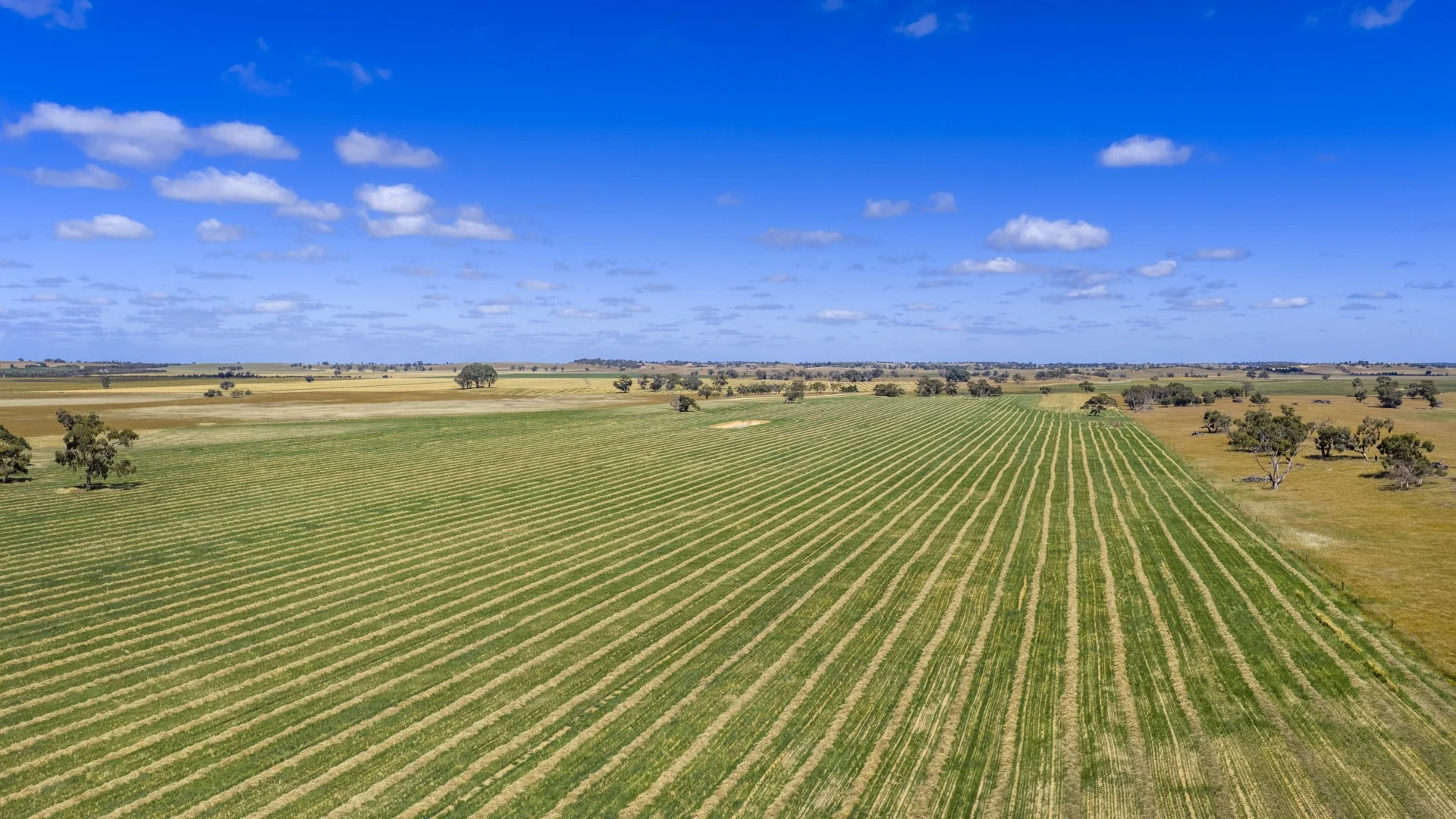 1695 Emu Flat Road, Sherwood SA 5267