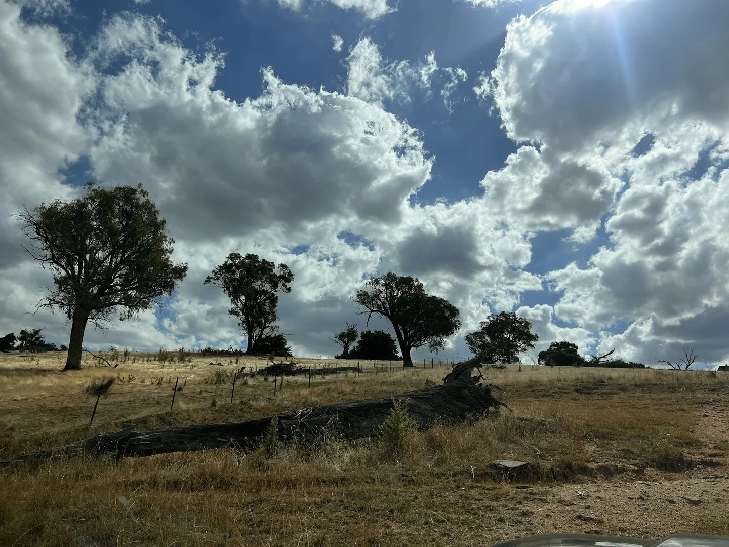 Additional image 13 of Lot 241 Hearn Street, Bigga NSW 2583