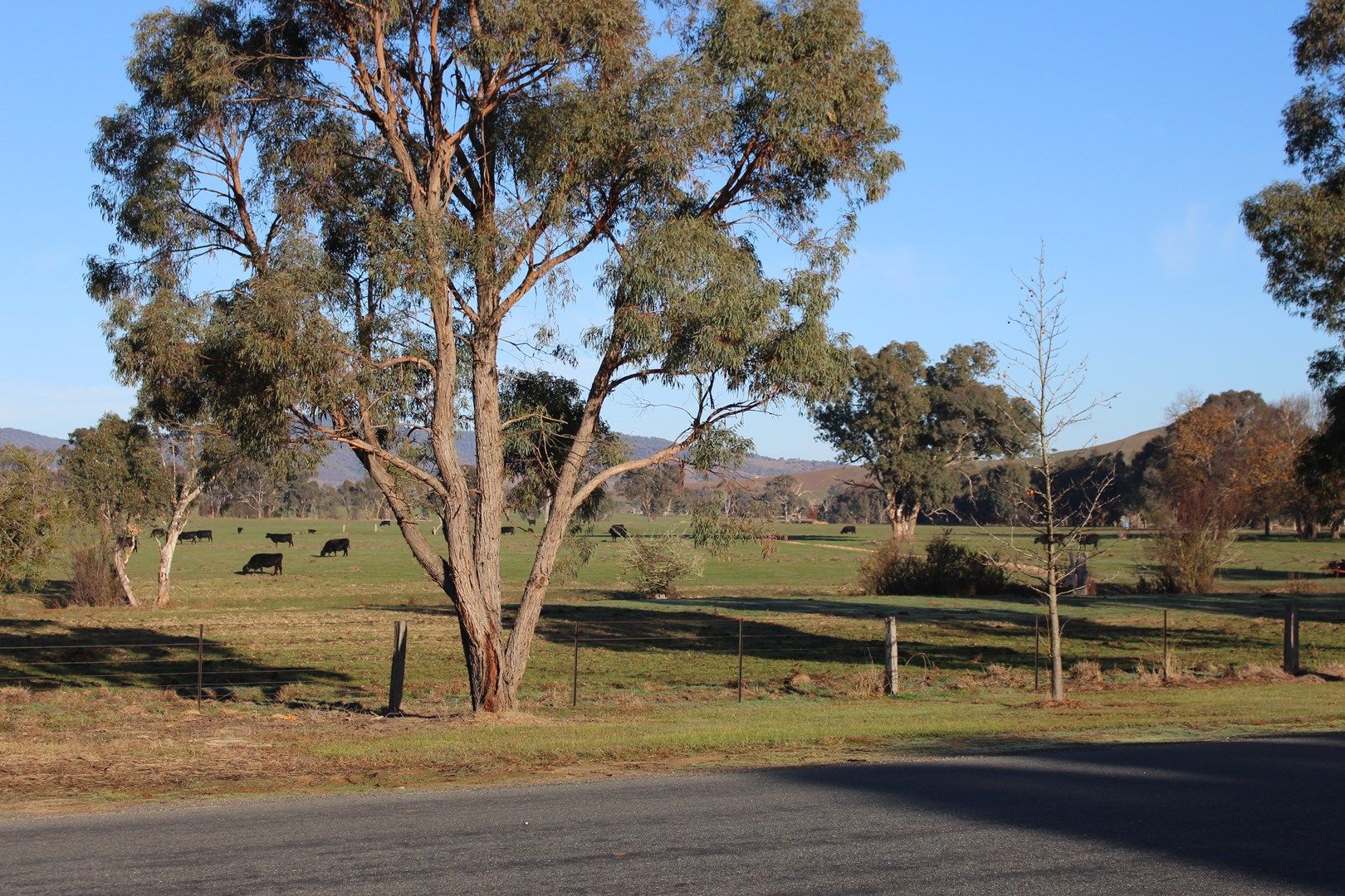 5 Sugarloaf Rd, Corryong VIC 3707, Image 0