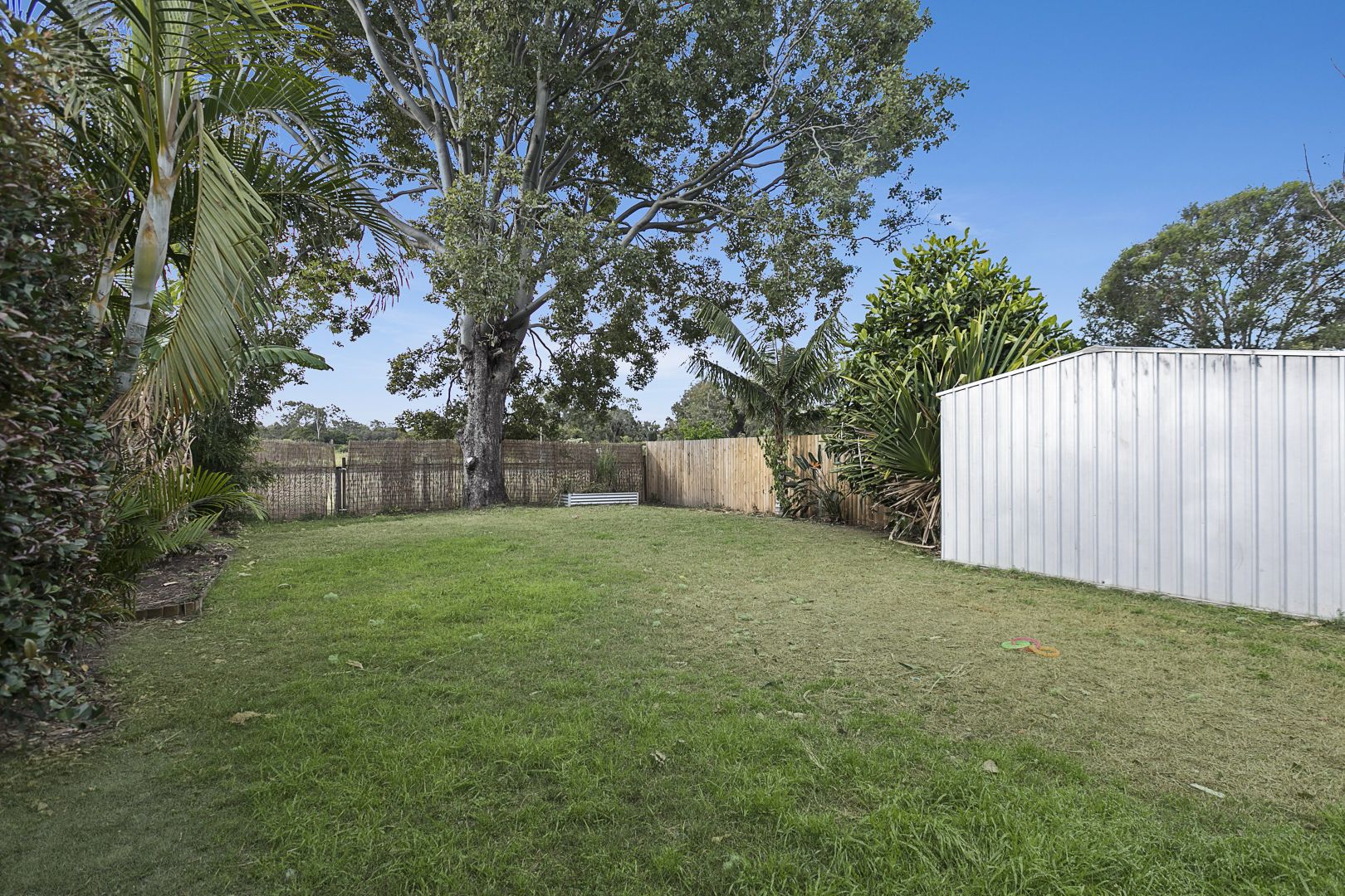 46 Gray Street, Carina QLD 4152, Image 2