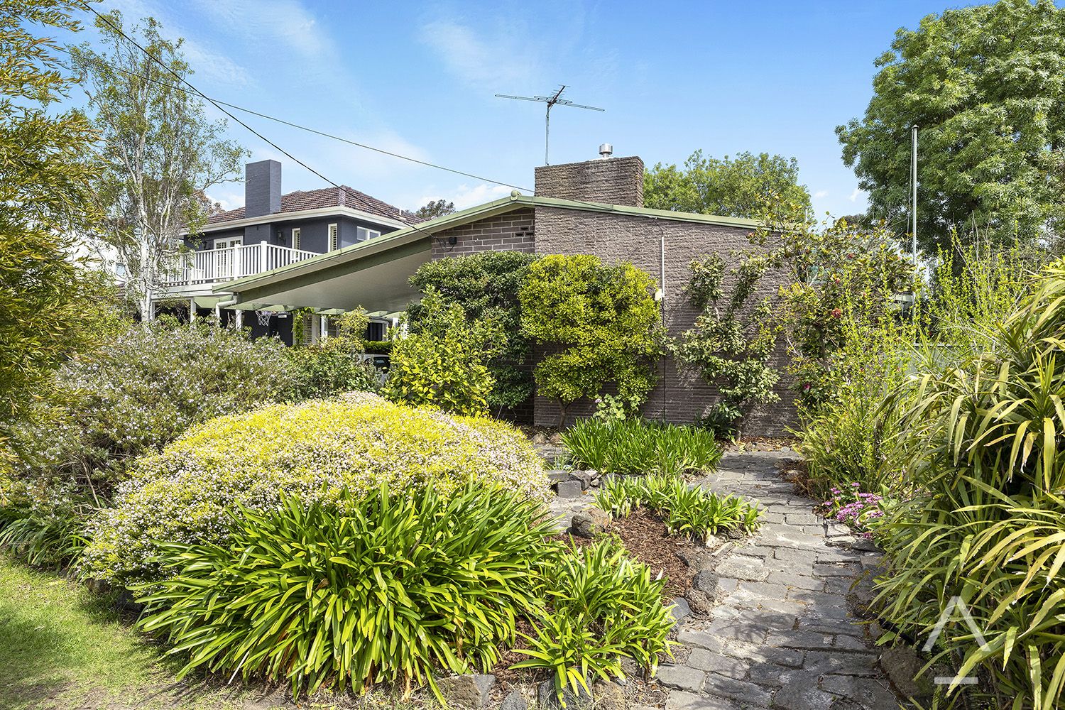 21 Vardon Avenue, Beaumaris VIC 3193 Domain