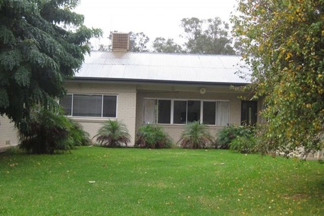 Picture of 89 Mills Lane, BOUNDARY BEND VIC 3599