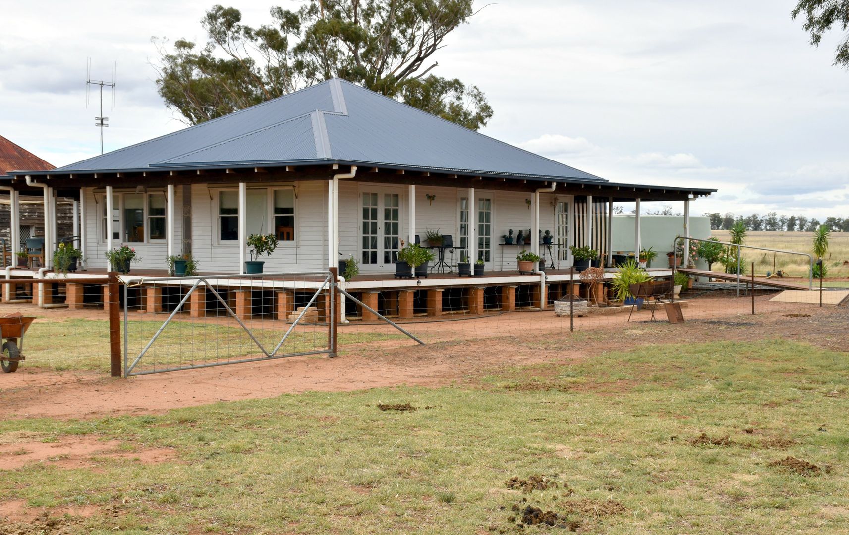 "Oakley Park"/4225 Newell Hwy, Balladoran NSW 2822 House for Sale