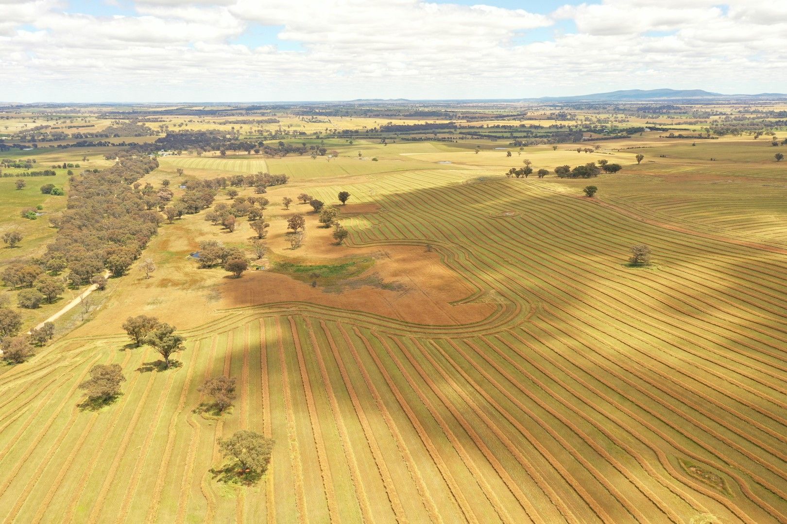 476 Monteagle Stock Route West Road, Monteagle NSW 2594, Image 0