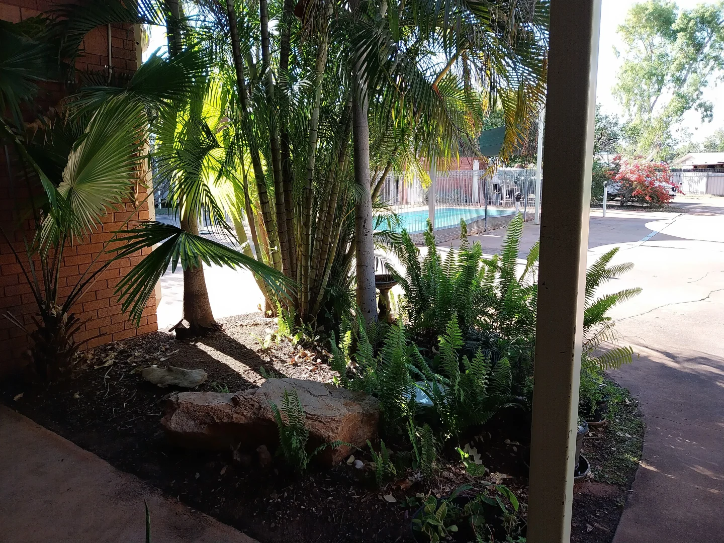 Image 19