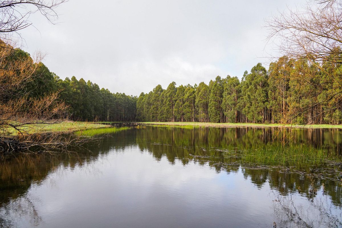Rural in 315 Murndal Road, YULECART VIC, 3301