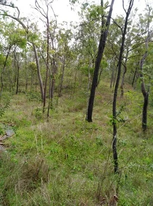 Image 8