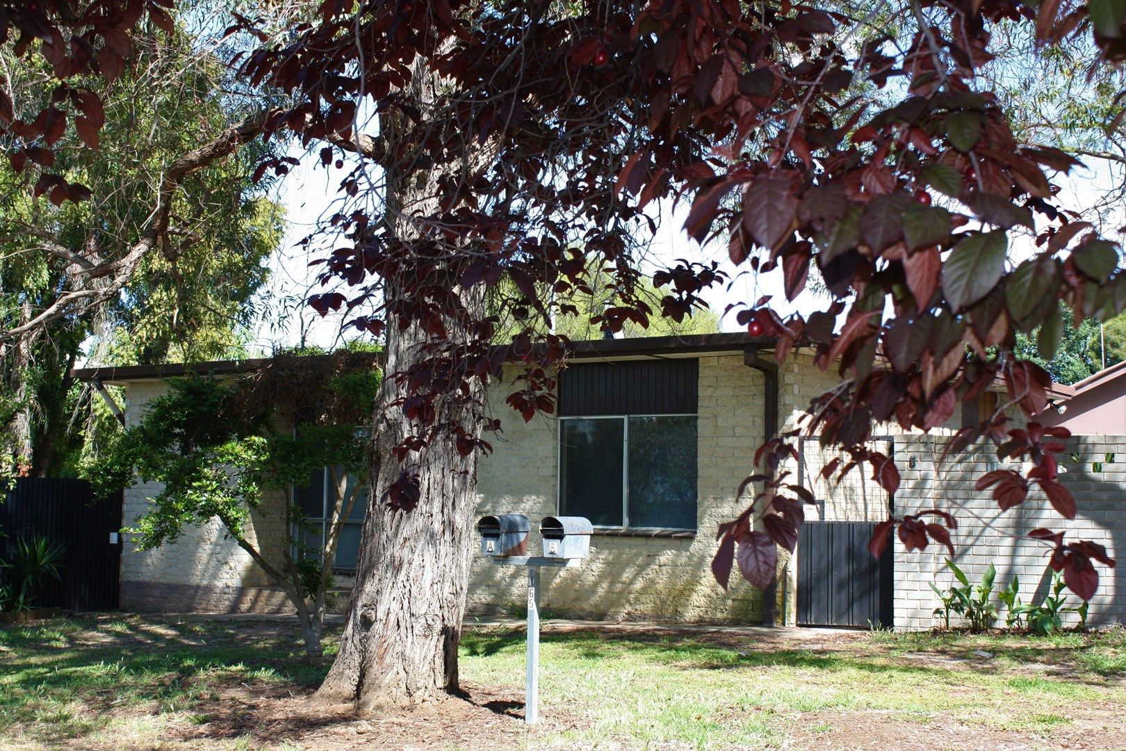 165 Federation Avenue, Corowa NSW 2646, Image 0