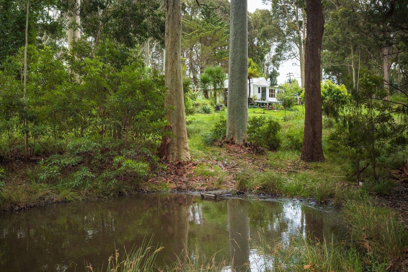 2 bedrooms House in 67 Nutleys Creek Road BERMAGUI NSW, 2546