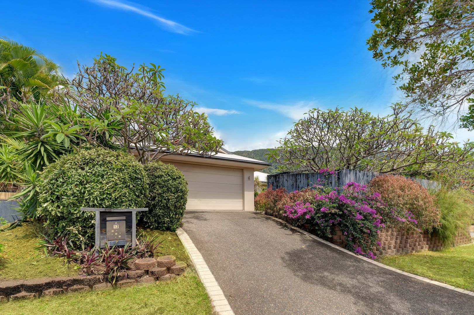 12 Palmetto Street, Palm Cove QLD 4879, Image 1