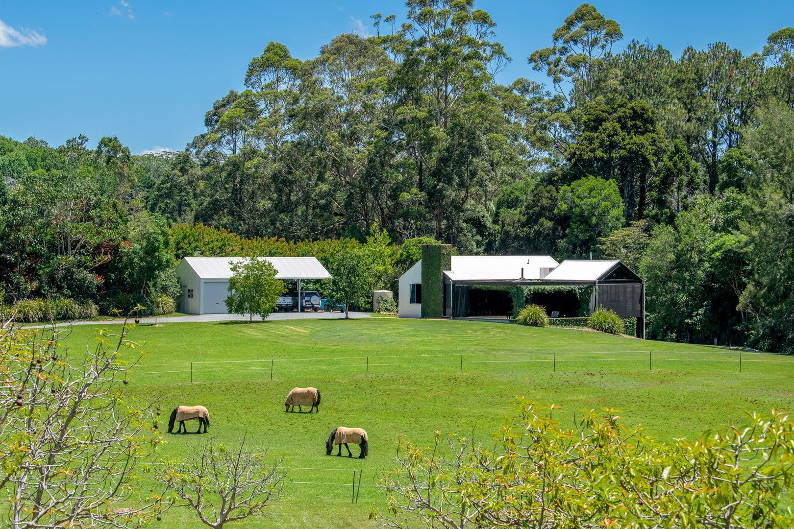 311 Long Road, Tamborine Mountain QLD 4272, Image 1