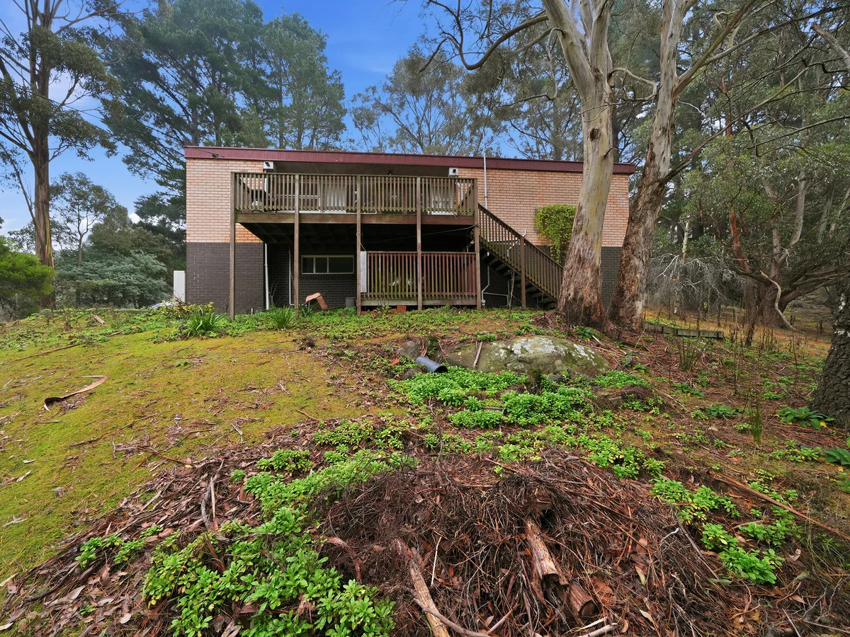 Image 20