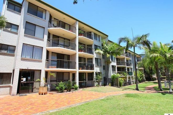 382 Rental Properties In Carrara Qld 4211 Domain