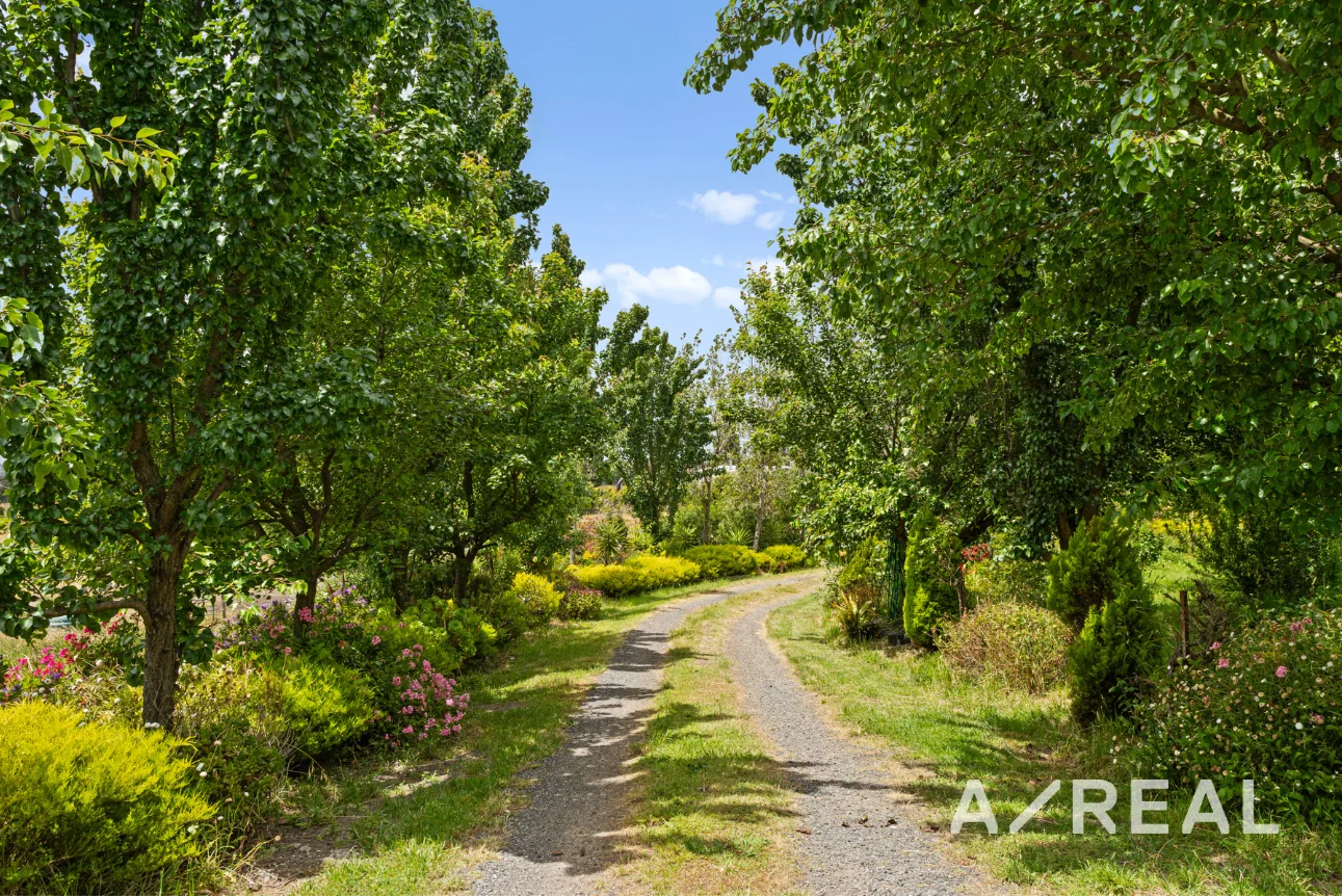 Additional image 17 of 1510 Merriang Road, Beveridge VIC 3753