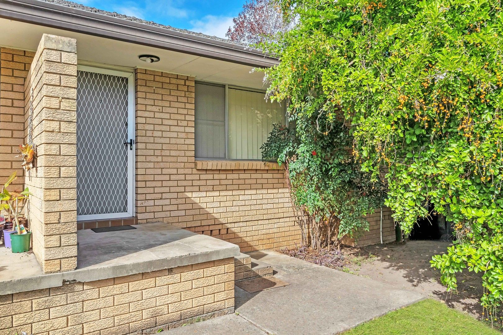 2 bedrooms Apartment / Unit / Flat in 2/24 Gibson Street RICHMOND NSW, 2753