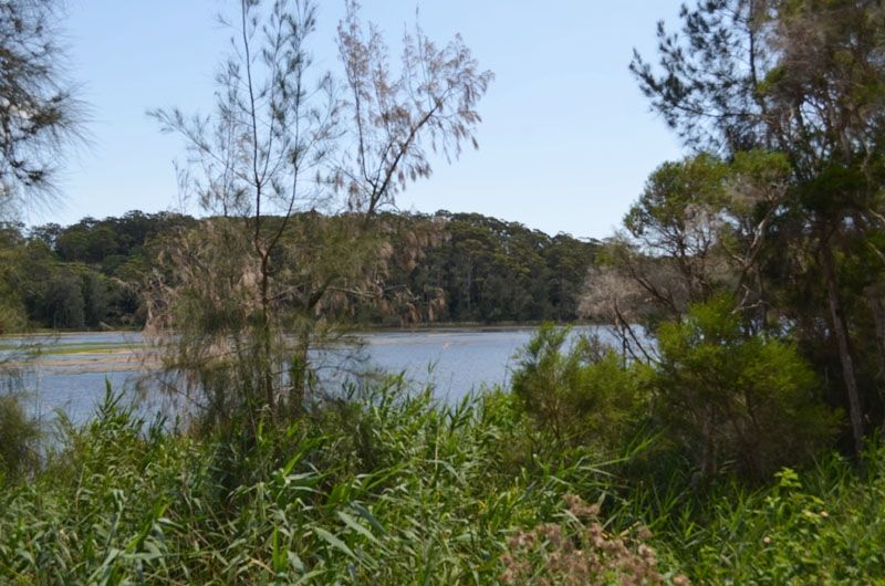 Avoca Beach NSW 2251, Image 0