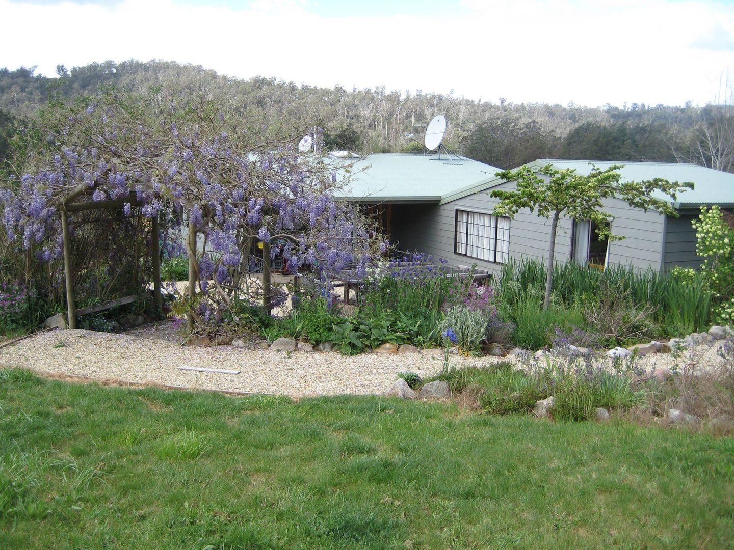 397 Jensens Road, NORTH SCOTTSDALE TAS 7260, Image 2