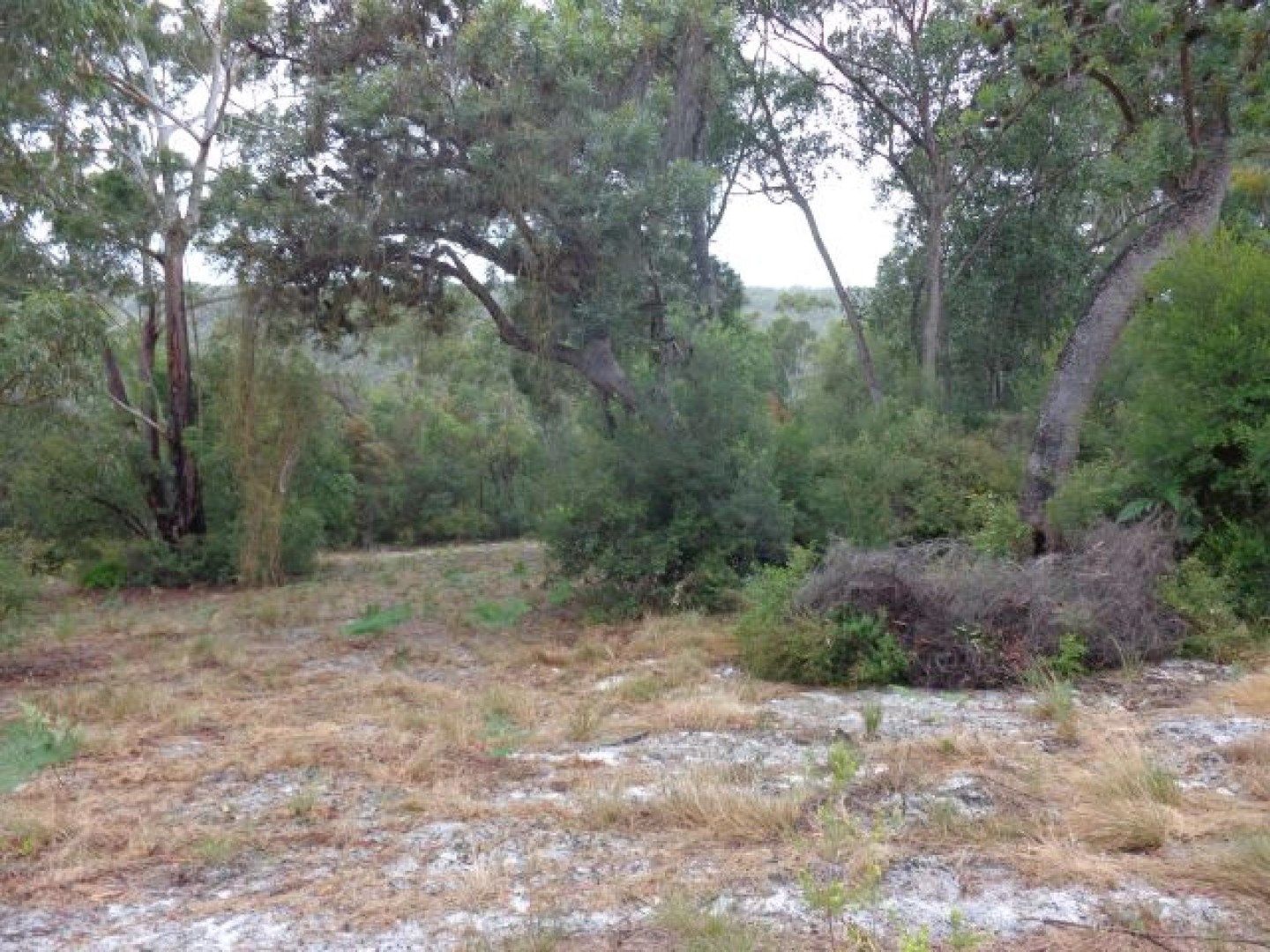 Fraser Island QLD 4581, Image 0