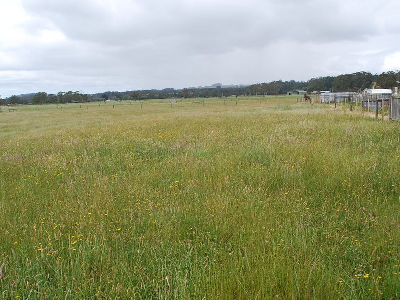 Lot 1 Deep Creek Road, Wynyard TAS 7325, Image 1