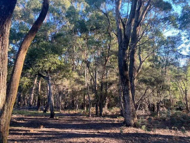 Image 15