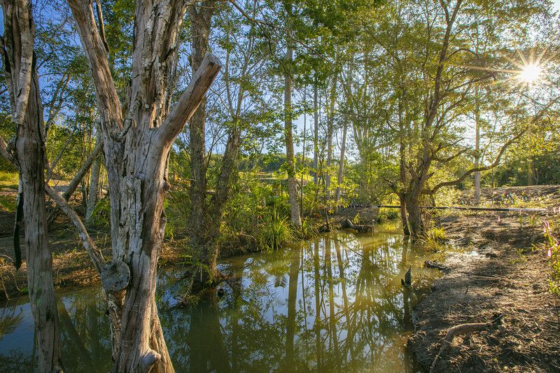 20 Lorikeet Place, Burnside QLD 4560, Image 2