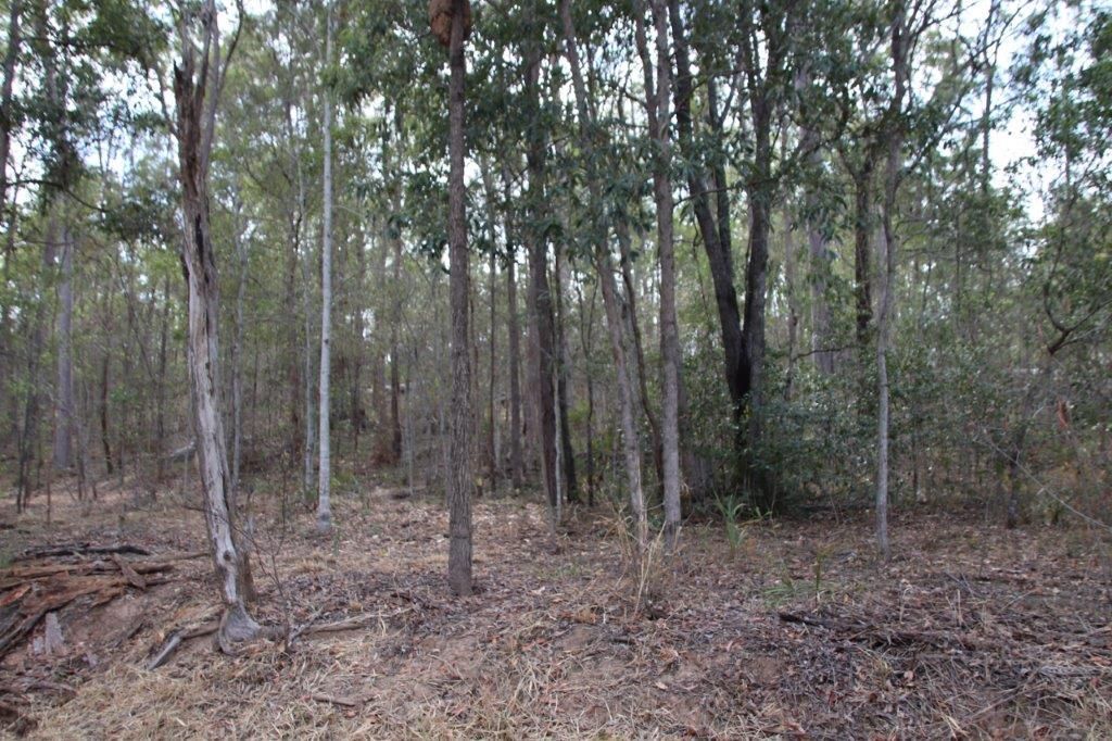 Lot 37 Emma Rd, Bauple QLD 4650, Image 2