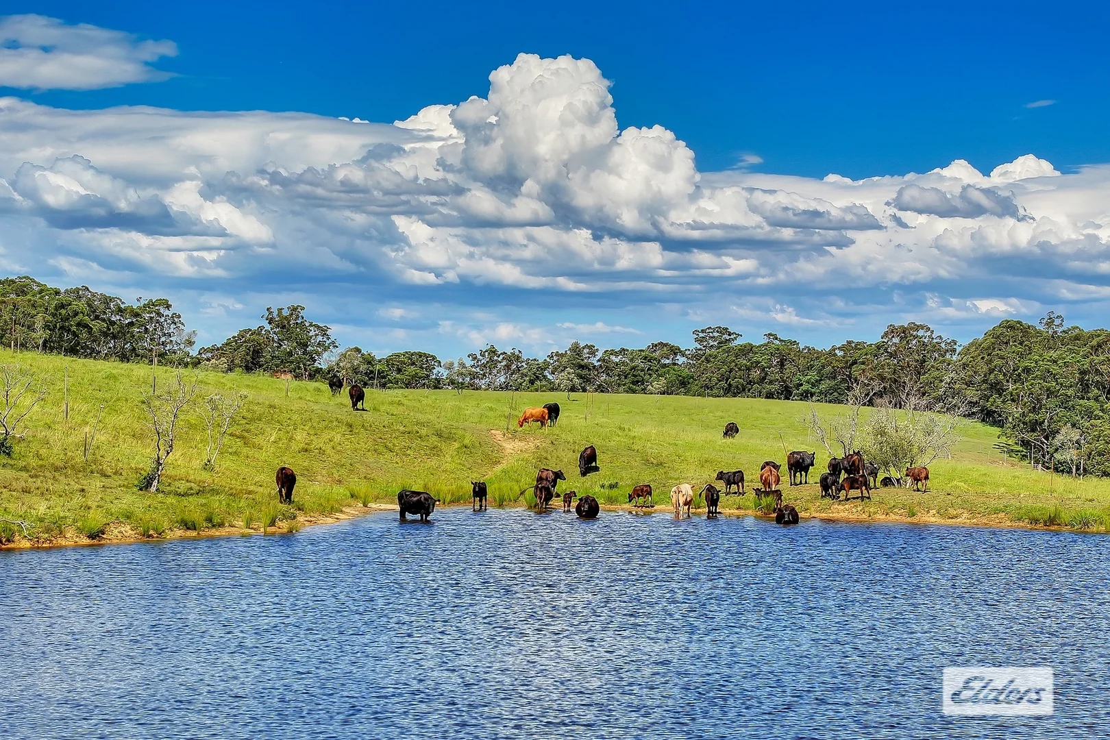 Additional image 5 of 1510 George Downes Drive, Kulnura NSW 2250